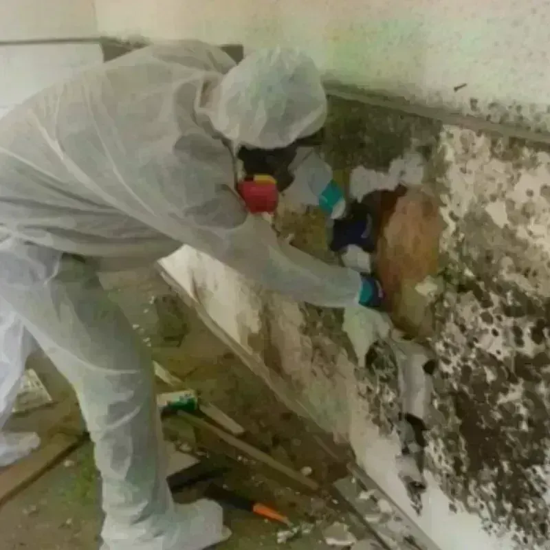 Mold Remediation and Removal in Glen Rock, NJ